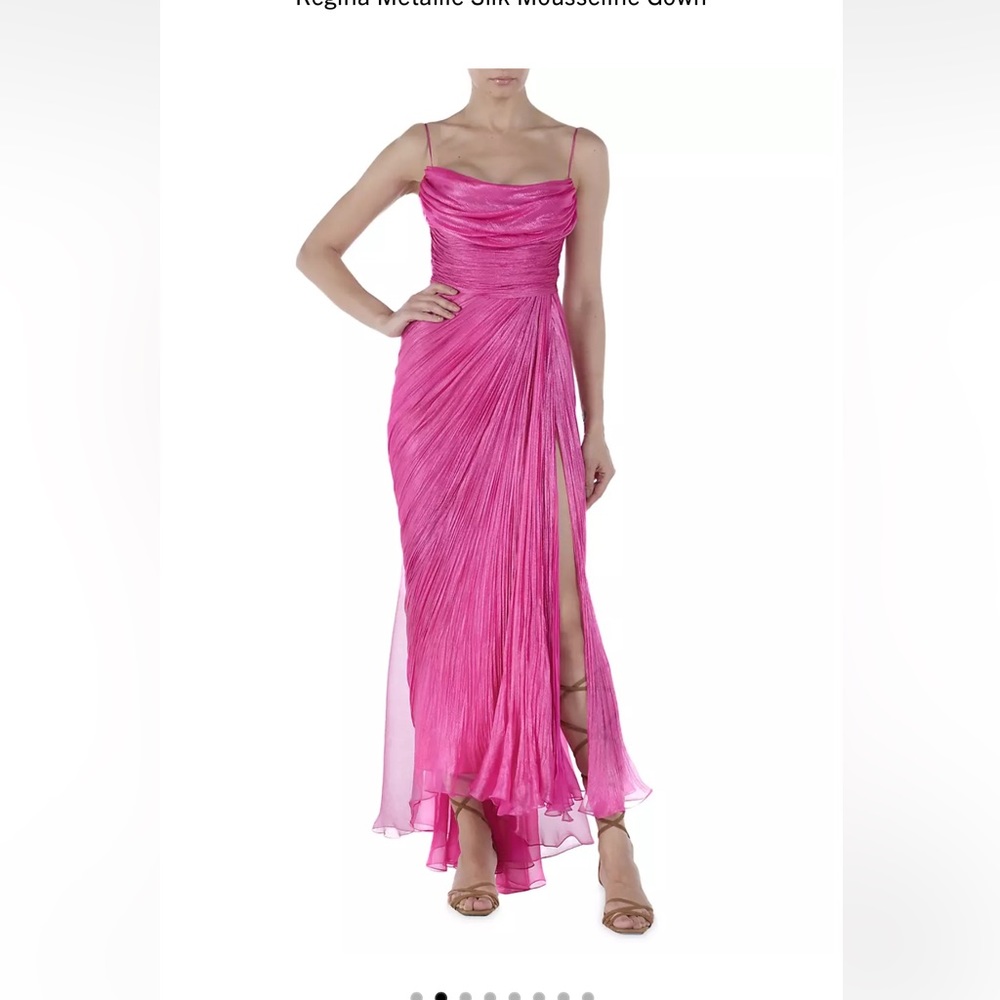 Maria Lucia Hohan Regina Dress sz 4 NWT